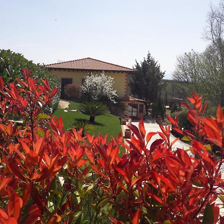 Tenuta La Ginestra Ornaro Exterior foto