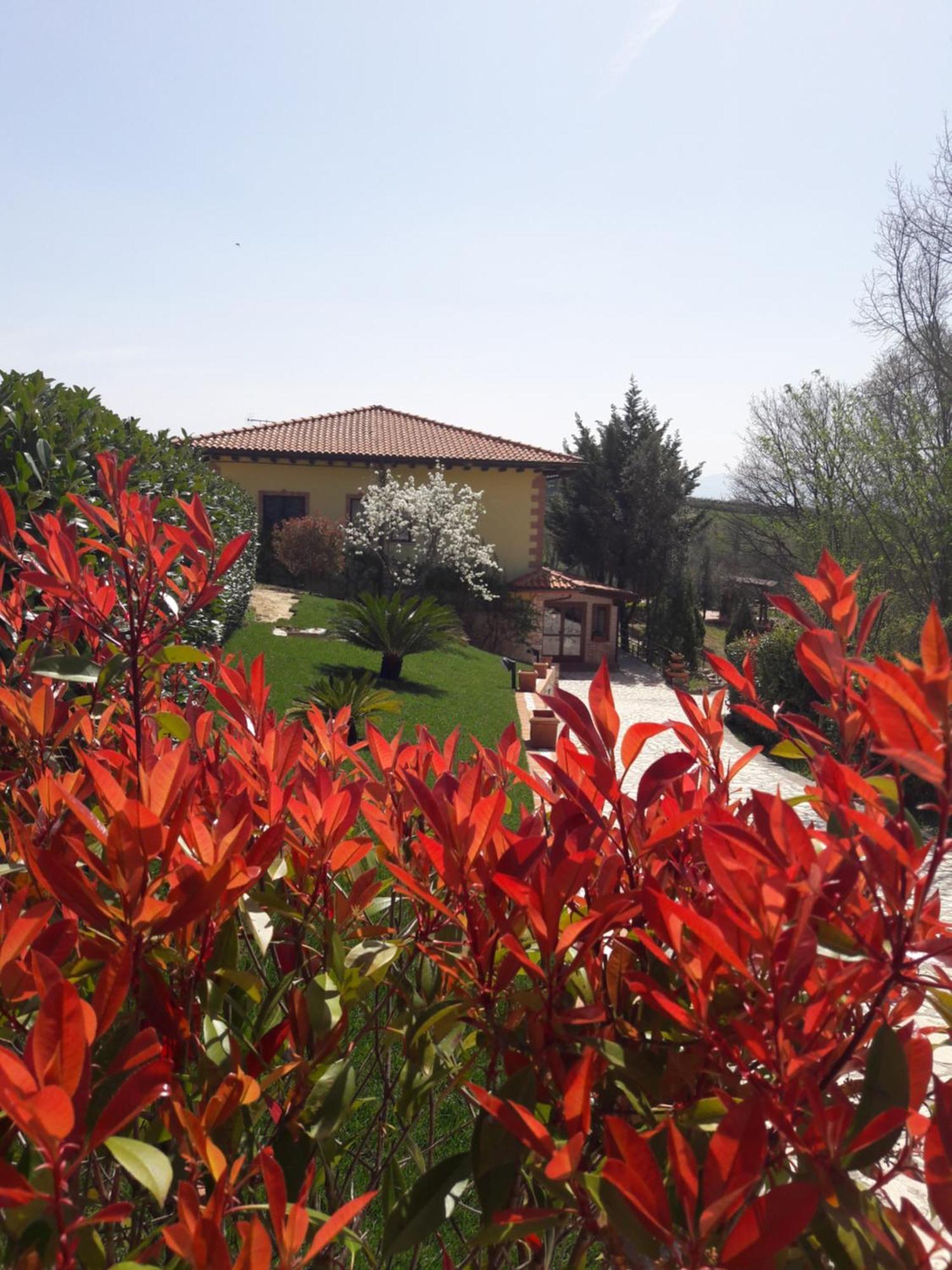 Tenuta La Ginestra Ornaro Exterior foto