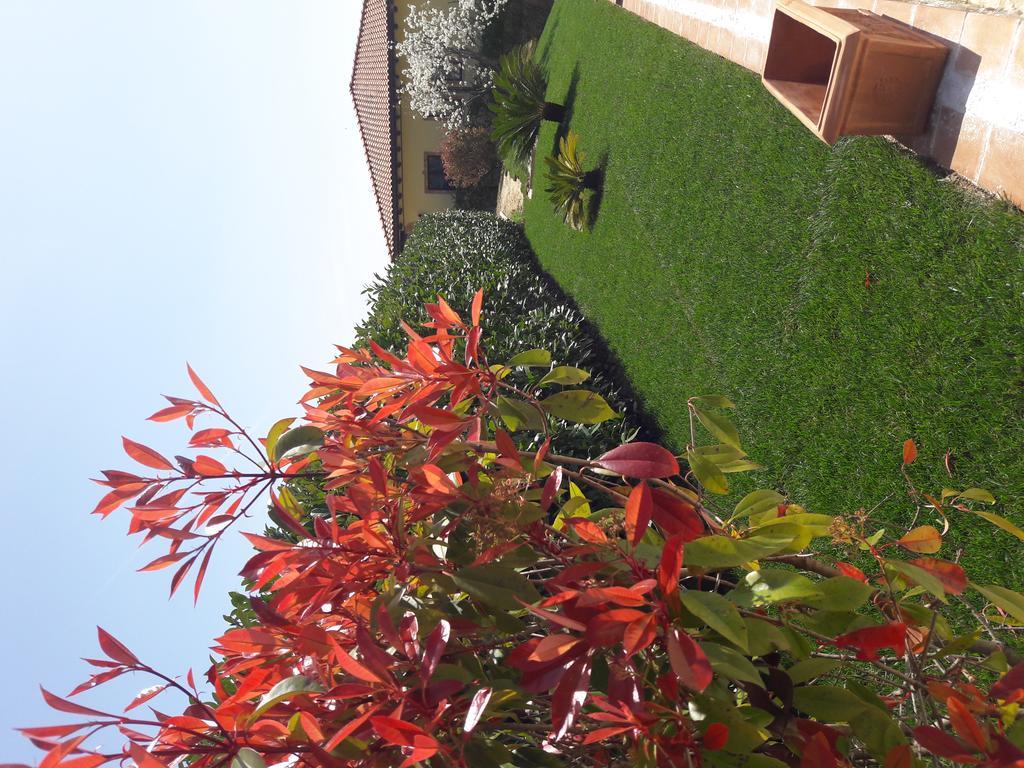 Tenuta La Ginestra Ornaro Exterior foto